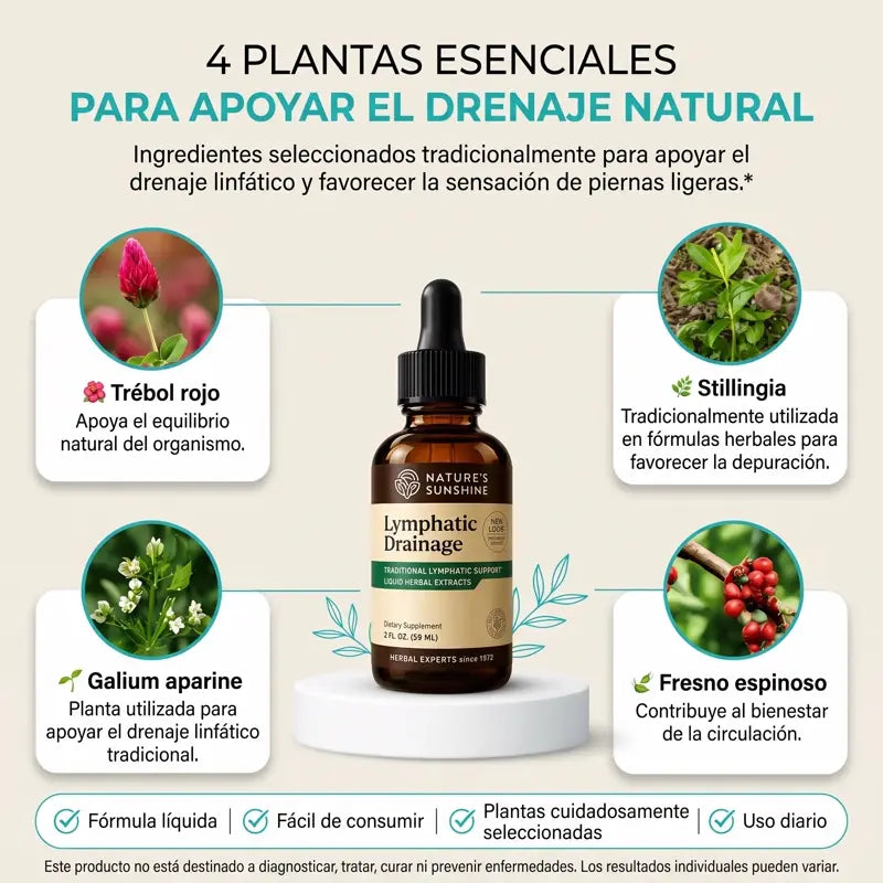 4 plantas esenciales para apoyar el drenaje natural: trébol rojo, stillingia, galium aparine y fresno espinoso