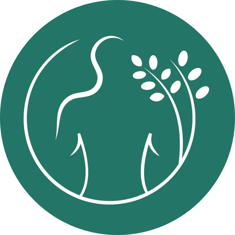 Icono de drenaje linfatico