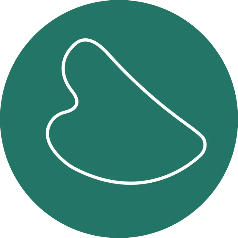 Icono de masaje gua sha